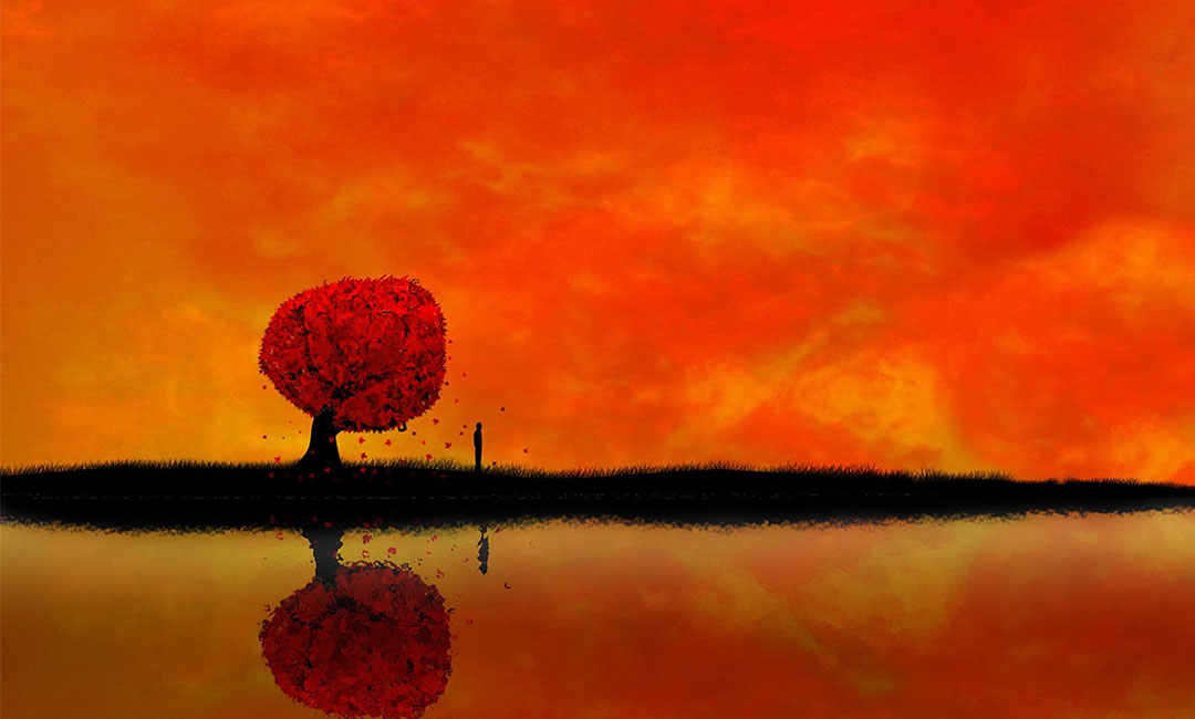 芜湖笙影微信朋友圈转发案例